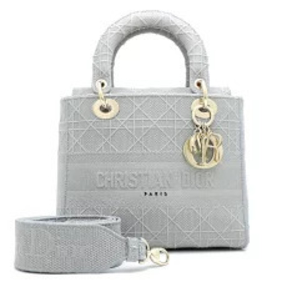 Christian Dior Lady Lite Bag Handbag Canvas Gray